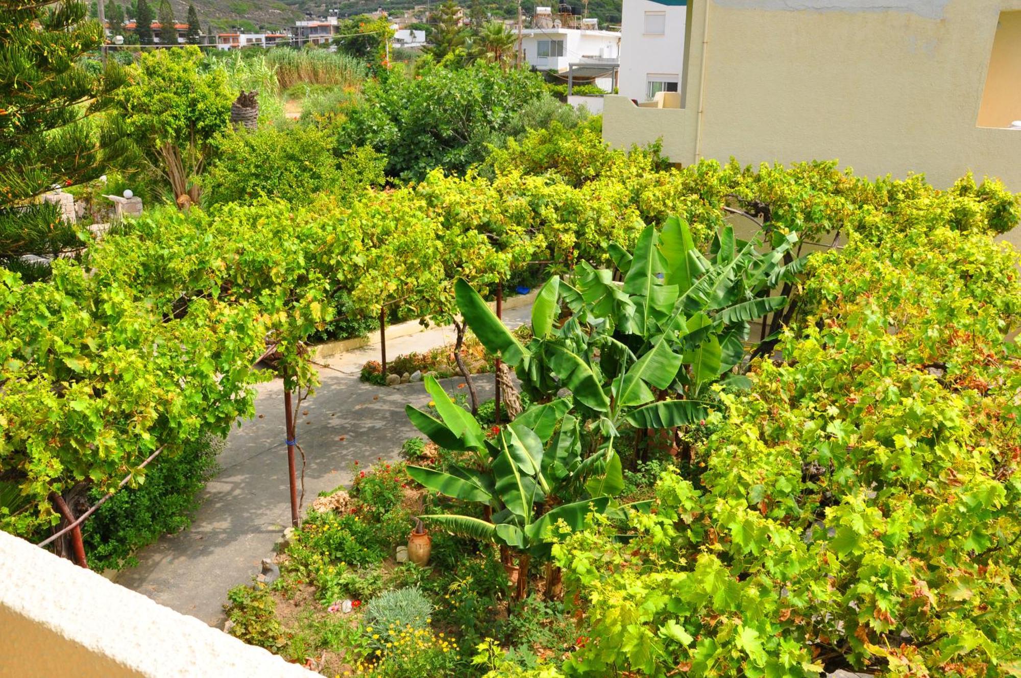 Dimitra Apartments Sitía Extérieur photo
